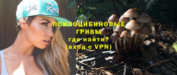 твердый Аркадак