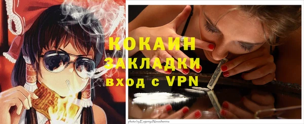 твердый Аркадак